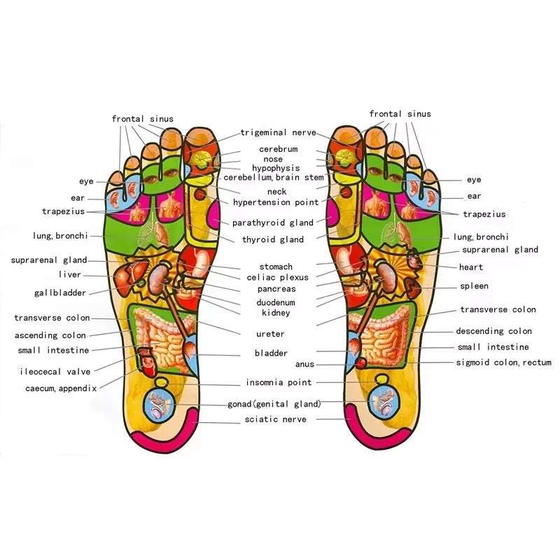 Revitalize Your Feet with the 3D Wooden Shiatsu Roller Massager - Stress Relief and Muscle Relaxation Tool for Ultimate Reflexology!